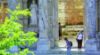 Efes Turu resmi